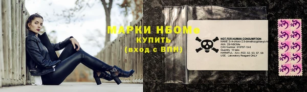 индика Балахна