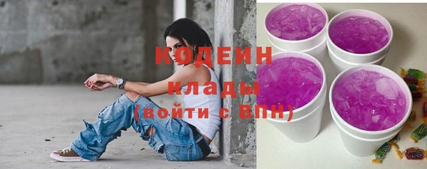 индика Балахна