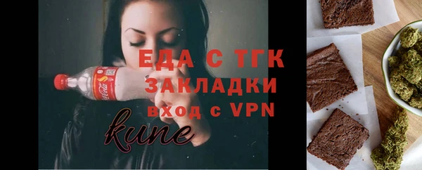 индика Балахна