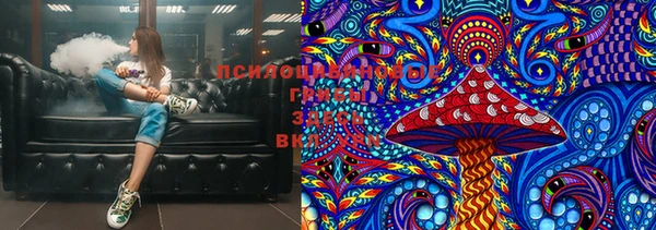 индика Балахна