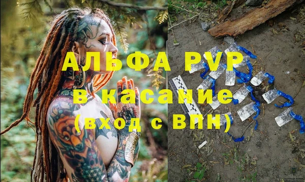 индика Балахна