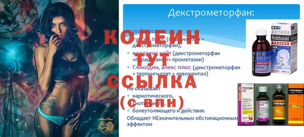 индика Балахна