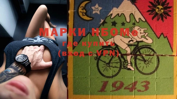 индика Балахна