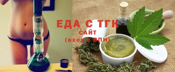 индика Балахна
