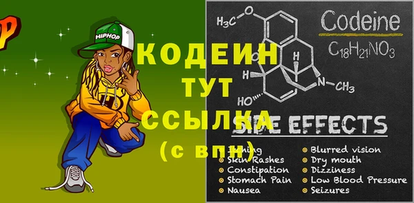 индика Балахна