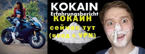 индика Балахна