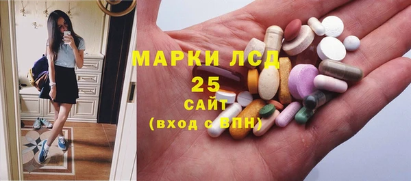 индика Балахна