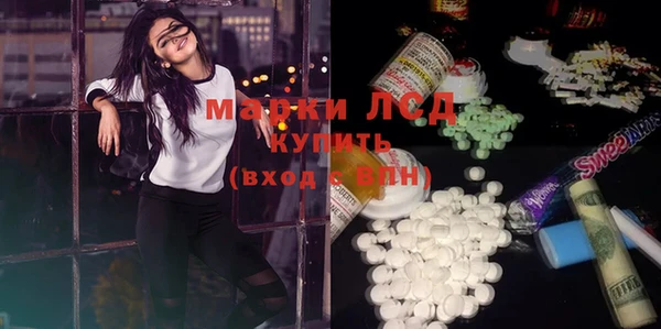 индика Балахна