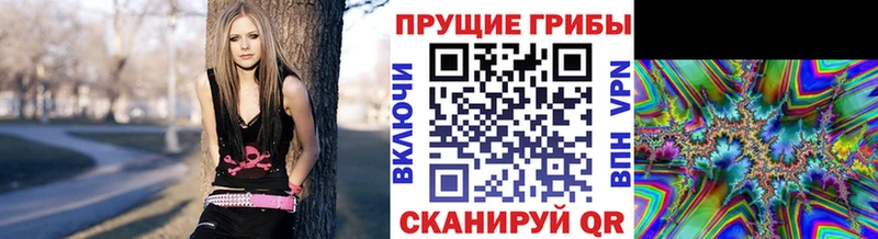Псилоцибиновые грибы ЛСД omg как войти Костерёво