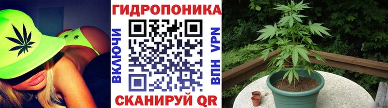 дарк нет какой сайт  где продают наркотики  Костерёво  Бошки Шишки марихуана 